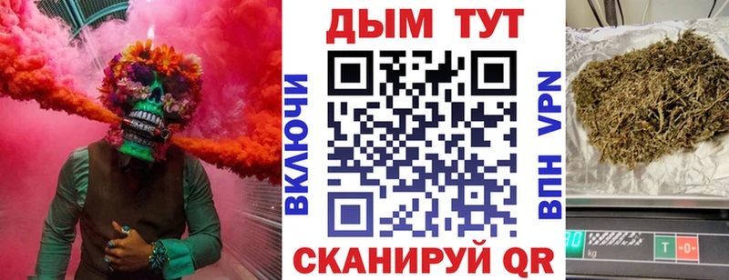 Шишки марихуана план Калач